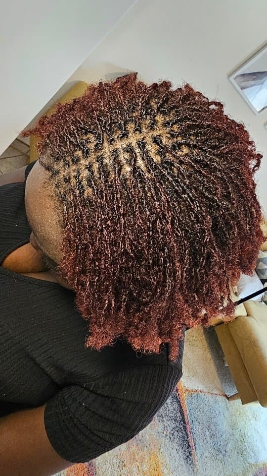 Elegante cynth - Photo 3