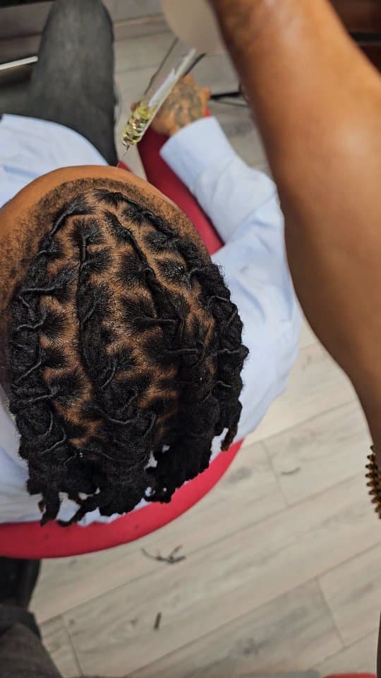 Elegante cynth - Photo 4