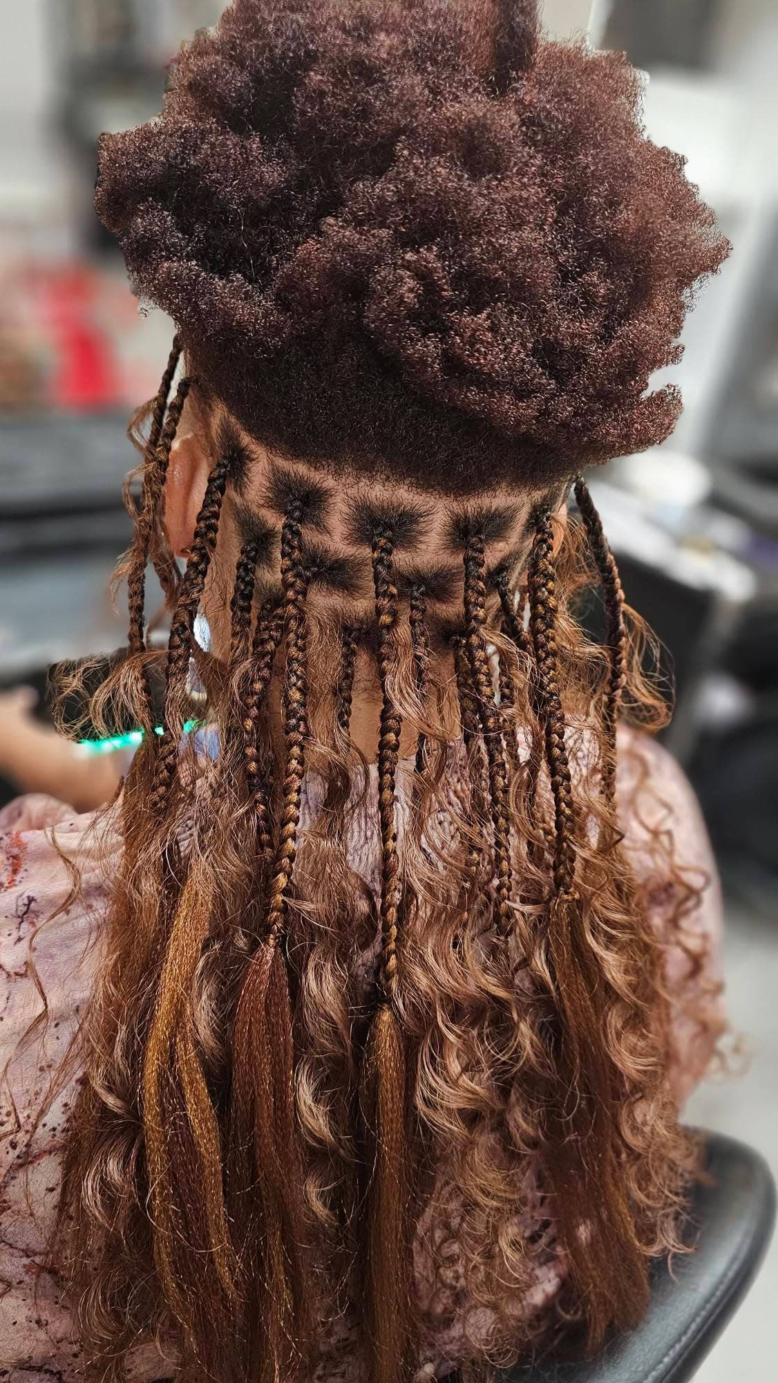 Elegante cynth - Photo 5