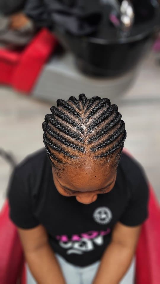 Elegante cynth - Photo 7