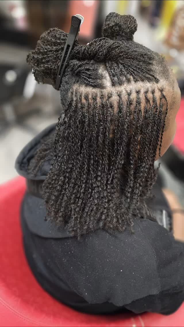 Elegante cynth - Photo 8