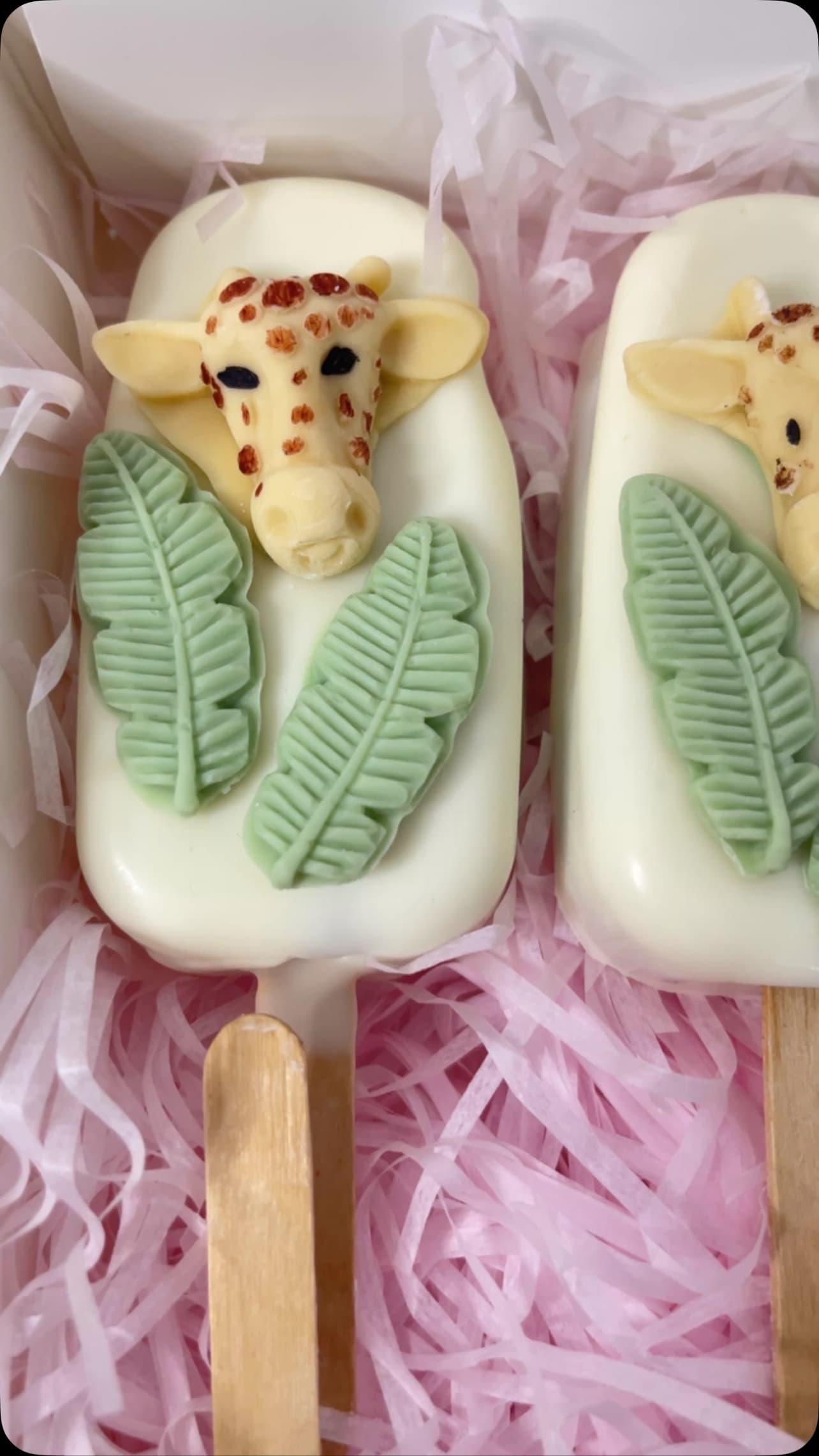 Savourcakery - Photo 14